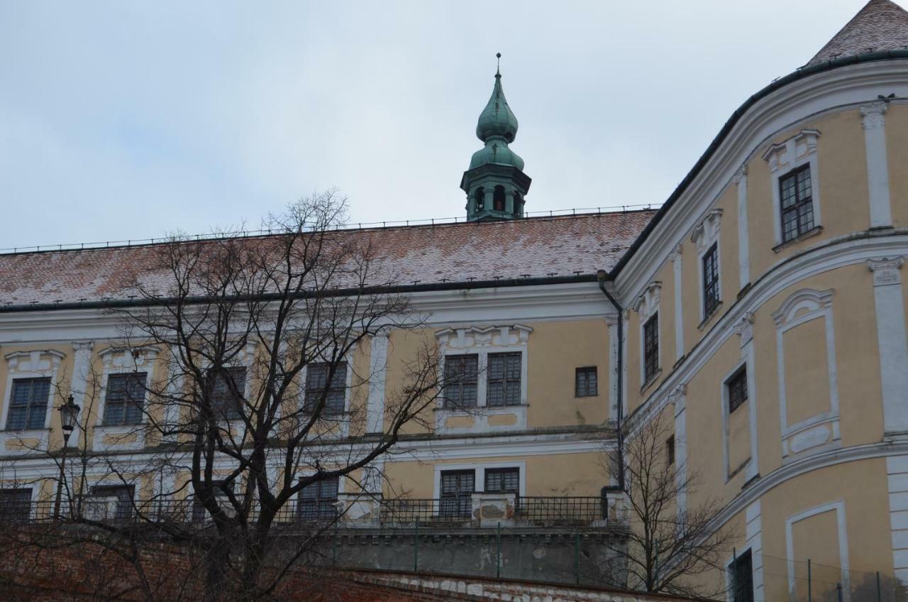 Penzion U Zabaka Mikulov Εξωτερικό φωτογραφία