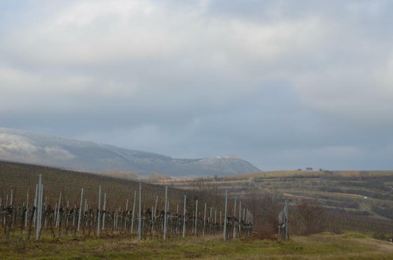 Penzion U Zabaka Mikulov Εξωτερικό φωτογραφία