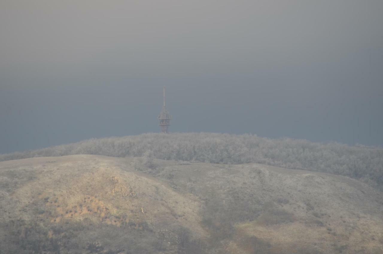 Penzion U Zabaka Mikulov Εξωτερικό φωτογραφία